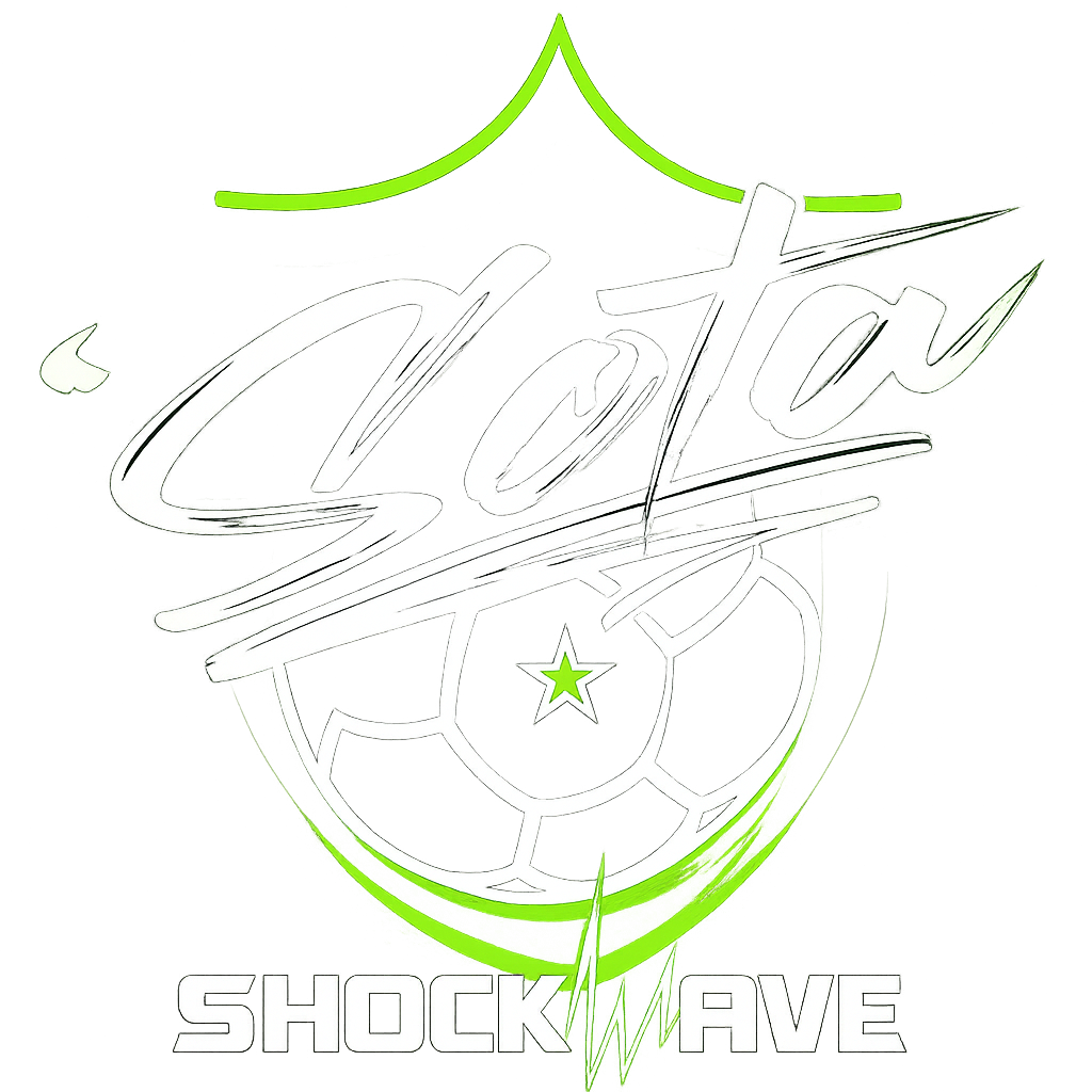 Minnesota Shockwave logo